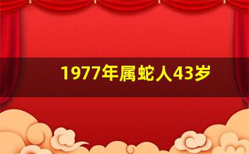 1977年属蛇人43岁