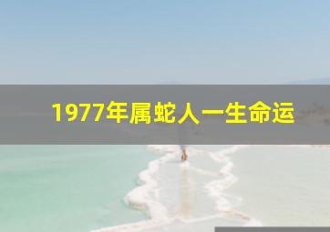 1977年属蛇人一生命运