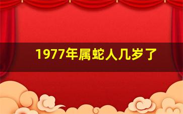 1977年属蛇人几岁了