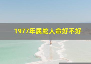 1977年属蛇人命好不好