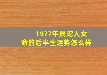 1977年属蛇人女命的后半生运势怎么样