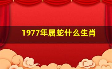 1977年属蛇什么生肖