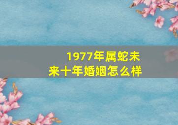 1977年属蛇未来十年婚姻怎么样