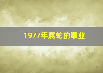 1977年属蛇的事业