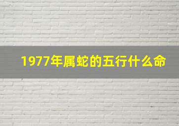 1977年属蛇的五行什么命