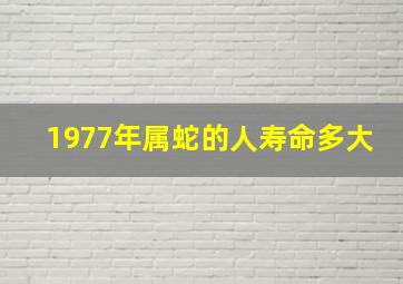 1977年属蛇的人寿命多大