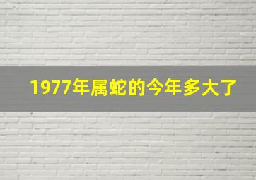 1977年属蛇的今年多大了