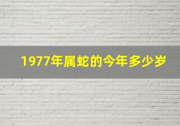 1977年属蛇的今年多少岁