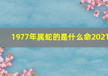 1977年属蛇的是什么命2021