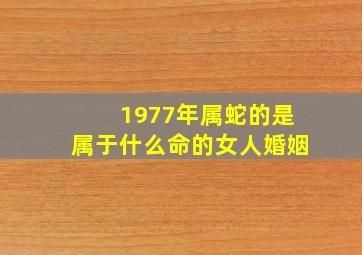 1977年属蛇的是属于什么命的女人婚姻