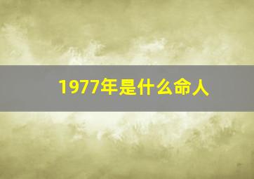 1977年是什么命人