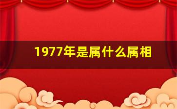 1977年是属什么属相