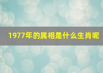 1977年的属相是什么生肖呢