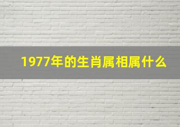 1977年的生肖属相属什么