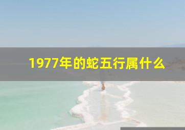 1977年的蛇五行属什么