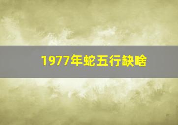 1977年蛇五行缺啥