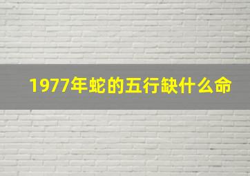 1977年蛇的五行缺什么命