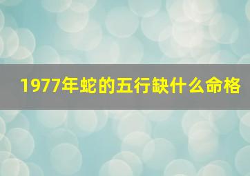 1977年蛇的五行缺什么命格