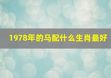 1978年的马配什么生肖最好