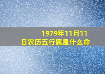 1979年11月11日农历五行属是什么命