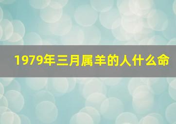 1979年三月属羊的人什么命