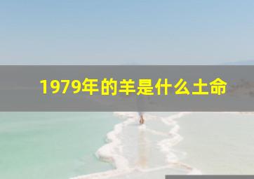 1979年的羊是什么土命