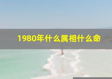 1980年什么属相什么命