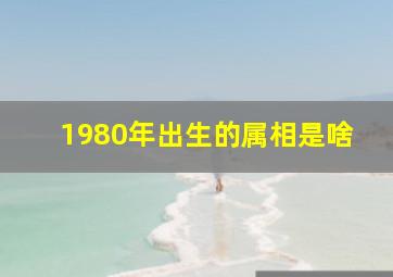 1980年出生的属相是啥