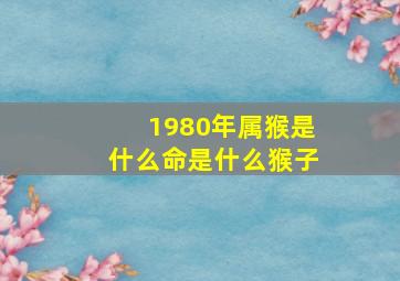 1980年属猴是什么命是什么猴子