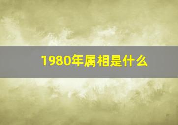 1980年属相是什么