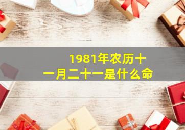 1981年农历十一月二十一是什么命