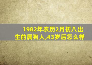 1982年农历2月初八出生的属狗人,43岁后怎么样