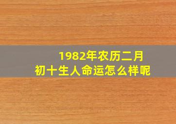 1982年农历二月初十生人命运怎么样呢