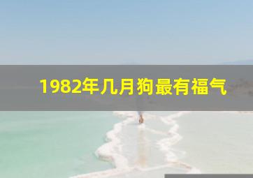 1982年几月狗最有福气