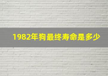 1982年狗最终寿命是多少