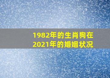 1982年的生肖狗在2021年的婚姻状况