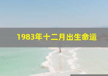 1983年十二月出生命运