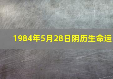 1984年5月28日阴历生命运