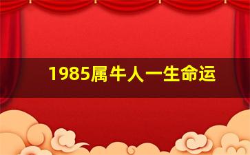 1985属牛人一生命运