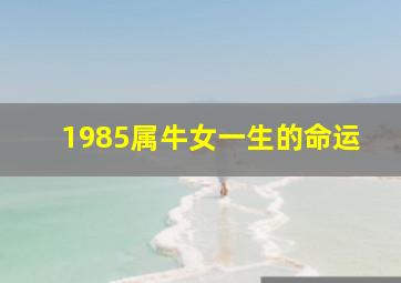 1985属牛女一生的命运