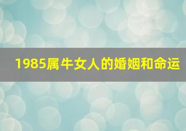 1985属牛女人的婚姻和命运