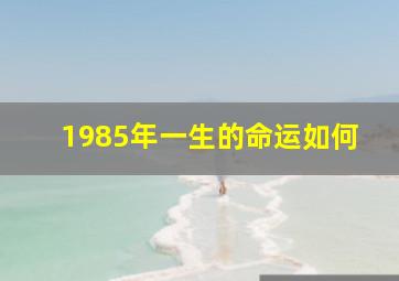 1985年一生的命运如何