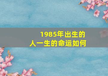 1985年出生的人一生的命运如何