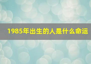 1985年出生的人是什么命运