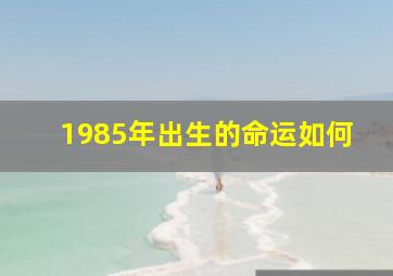 1985年出生的命运如何