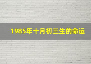 1985年十月初三生的命运