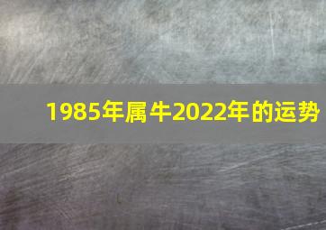 1985年属牛2022年的运势