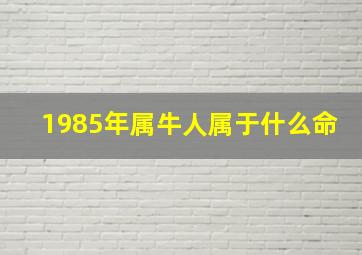 1985年属牛人属于什么命