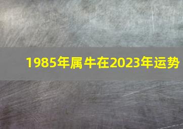 1985年属牛在2023年运势