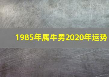 1985年属牛男2020年运势